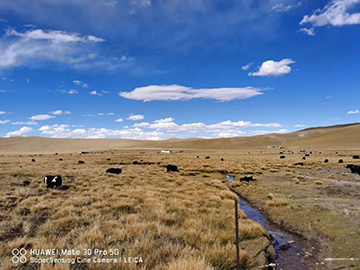 心系恒峰g22情，，，，追梦阿里行！